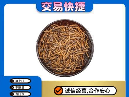 本溪回收散虫草